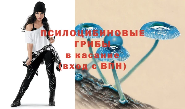 ПСИЛОЦИБИНОВЫЕ ГРИБЫ Краснотурьинск