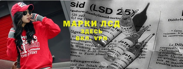 ПСИЛОЦИБИНОВЫЕ ГРИБЫ Краснотурьинск