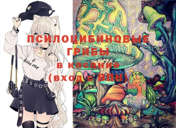 ПСИЛОЦИБИНОВЫЕ ГРИБЫ Краснотурьинск