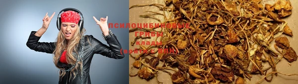 ПСИЛОЦИБИНОВЫЕ ГРИБЫ Краснотурьинск