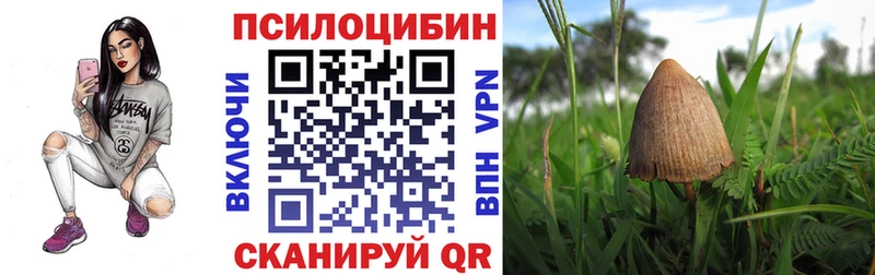 Купить закладки  Ясный  Псилоцибиновые грибы MAGIC MUSHROOMS 